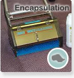 small-bottom-button-for-carpet-cleaning-page_04