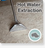small-bottom-button-for-carpet-cleaning-page_07